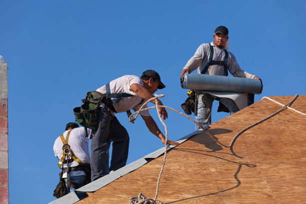 Best New Roof Installation  in Louisvle, IL